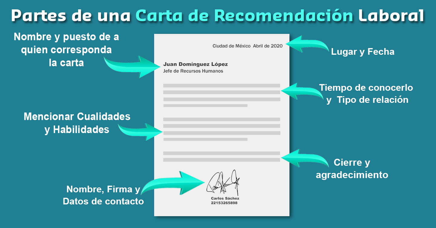 Cómo Redactar Una Carta De Recomendación Guía Práctica