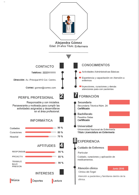 ejemplo de Solicitud de Empleo Digital