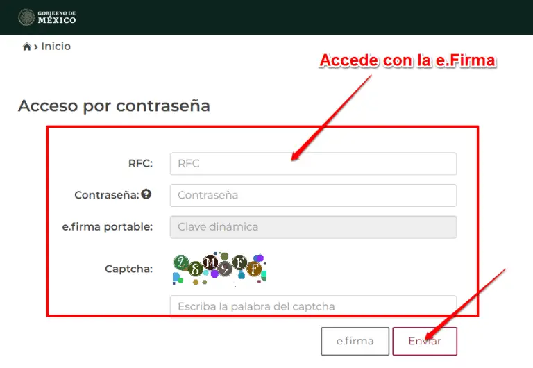 Visor de Nómina para el Patrón ¿Qué es y Cómo Usarlo?