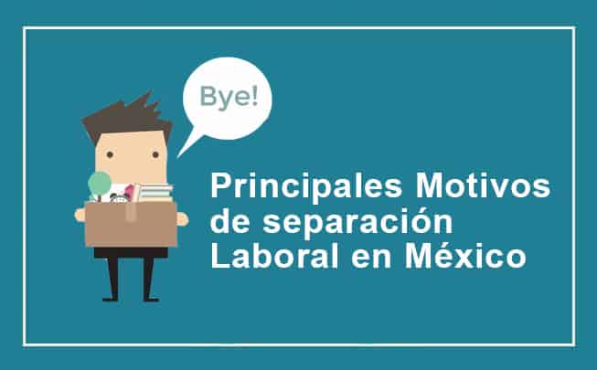 Lee más sobre el artículo Principales motivos de separación laboral