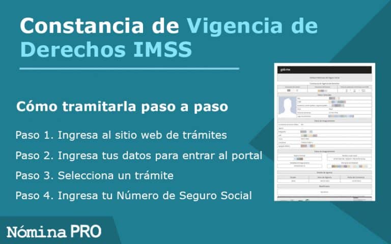 Constancia De Derechos Imss: ¿Cómo Obtenerla Y Descargarla? – INGL