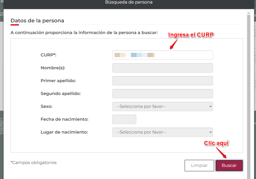 Al dar clic en el botón verás una pantalla emergente en donde debes ingresar la CURP del beneficiario para hacer la búsqueda: